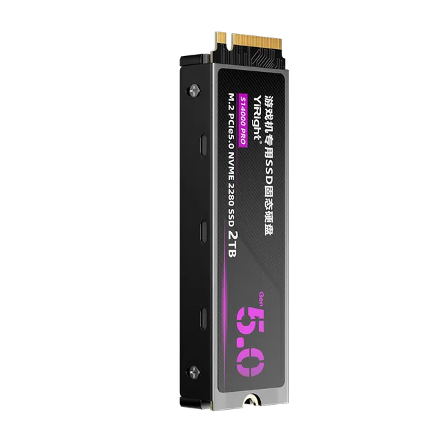 依正 PS5 PCIe 5.0 M.2