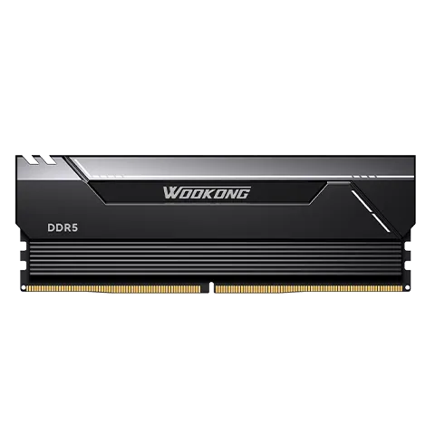 佰维 斗战行者HX100 DDR5 16G 6000MHz C36