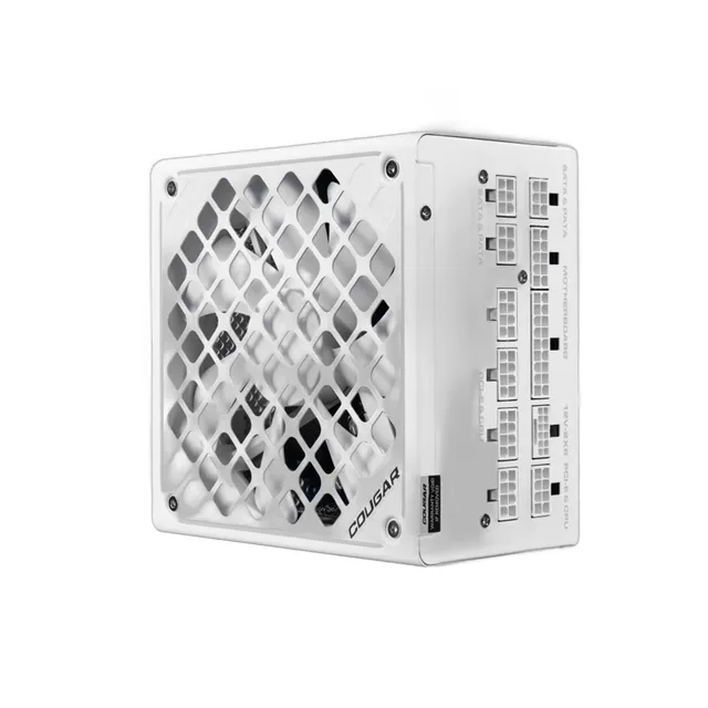 骨伽 PV 1000W