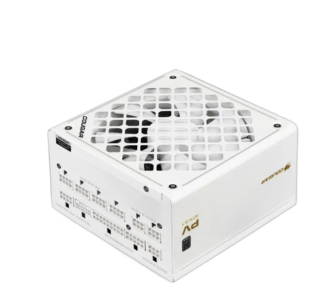 骨伽 PV 850W