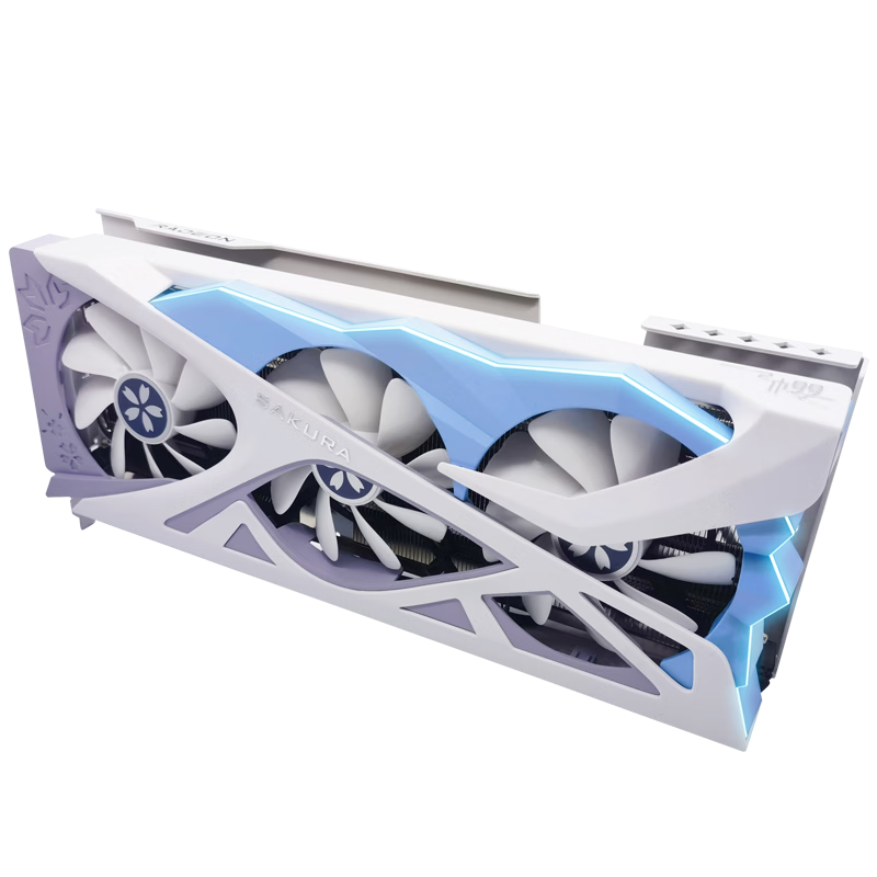 盈通 盈通 RX 6800 XT 樱瞳花嫁