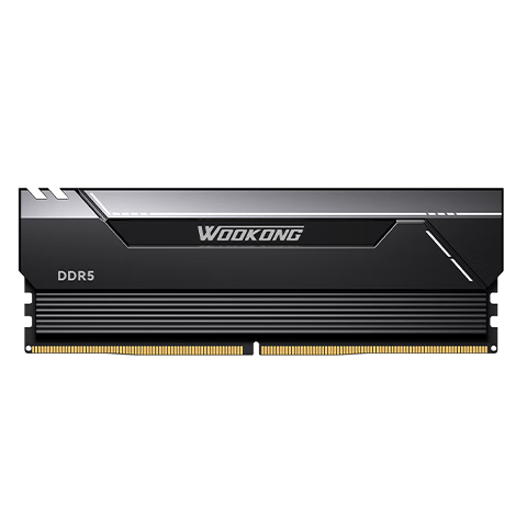 佰维 斗战行者HX100 DDR5 24G 6000MHz C30